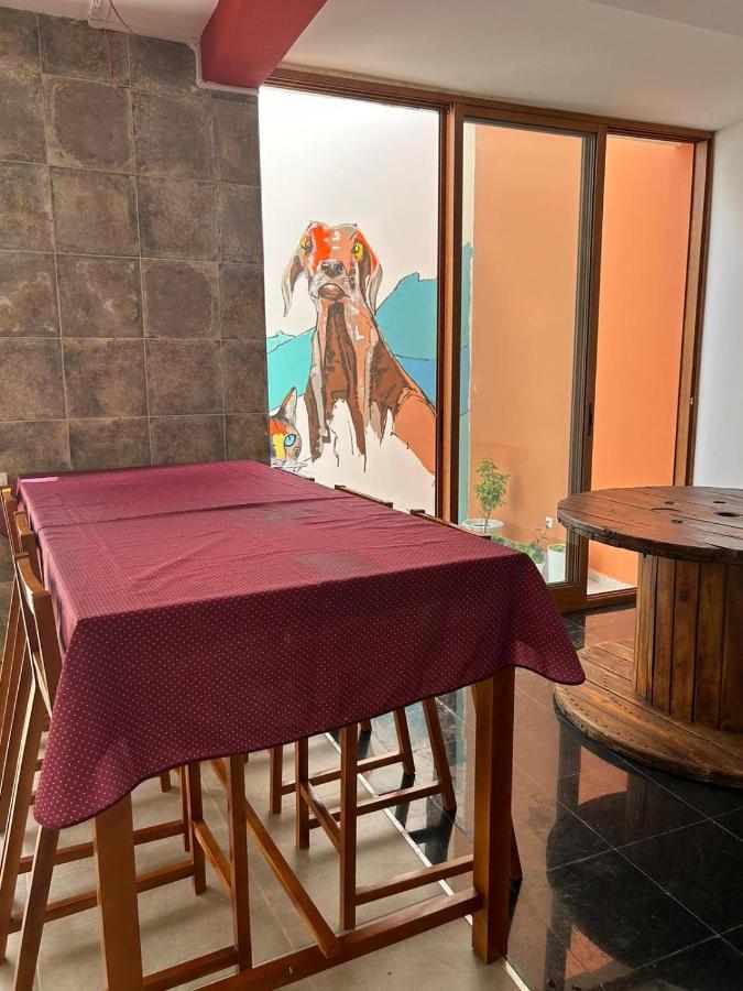 Villa Palmarina Praia Luaran gambar